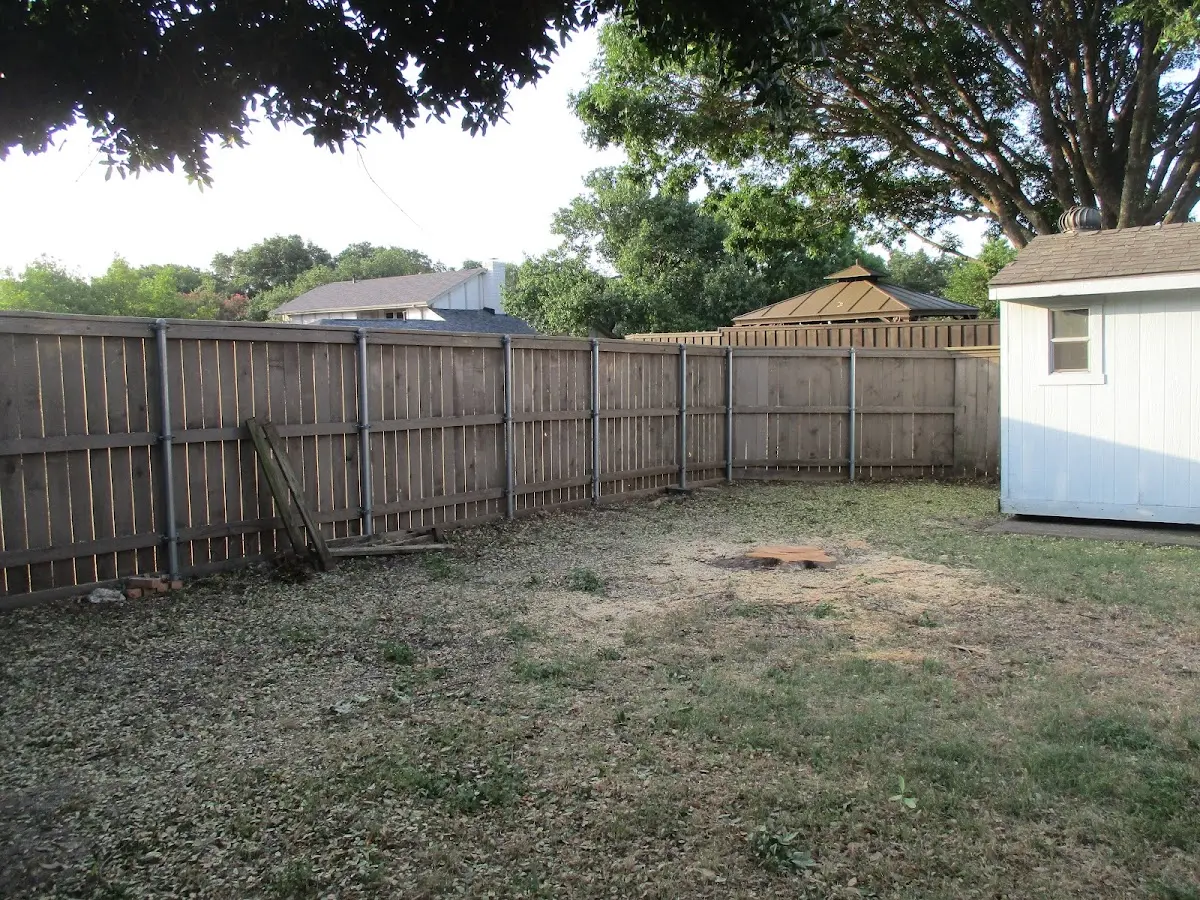Cleared yard after professional tree removal in Wykoff