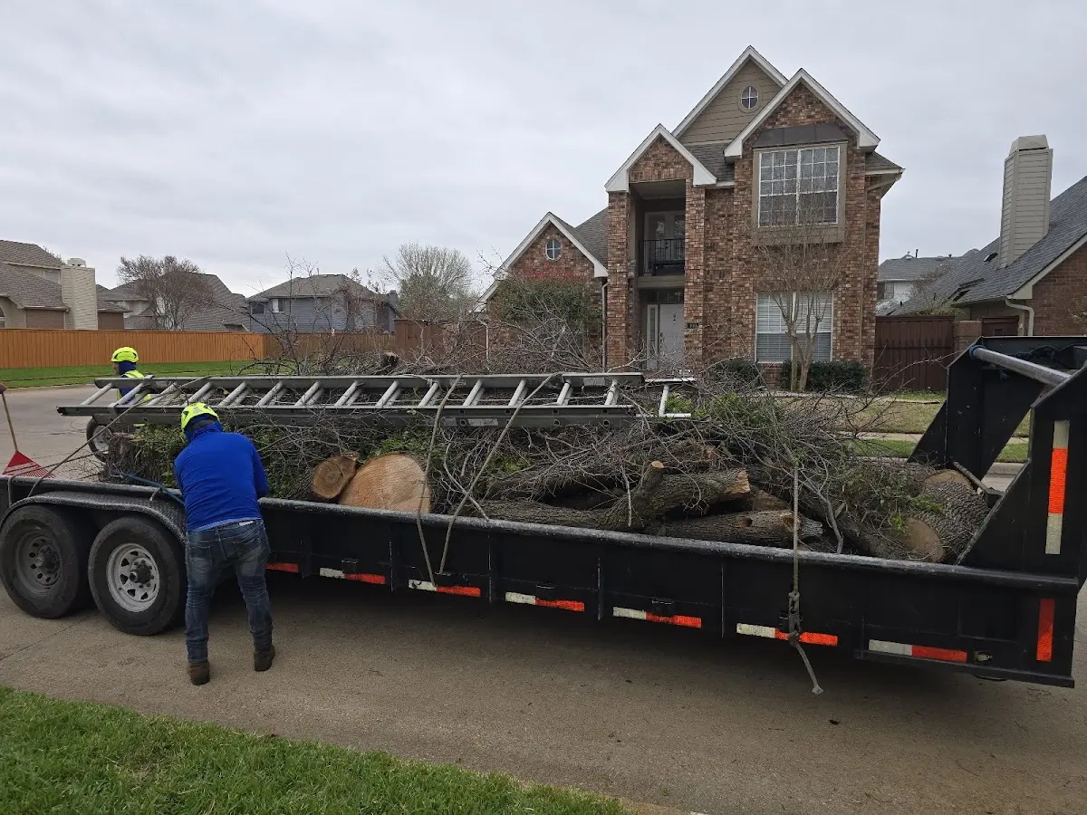 Expert Lot Clearing with proper safety equipment in Wykoff
